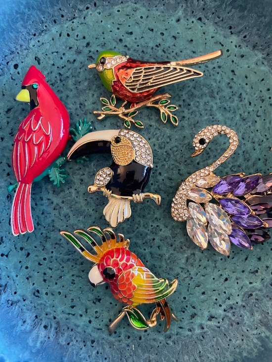 Jewelry - Bird Brooch Bundle Parrot Swan Toucan Cottagecore Nature Whimsical Jewelry Set